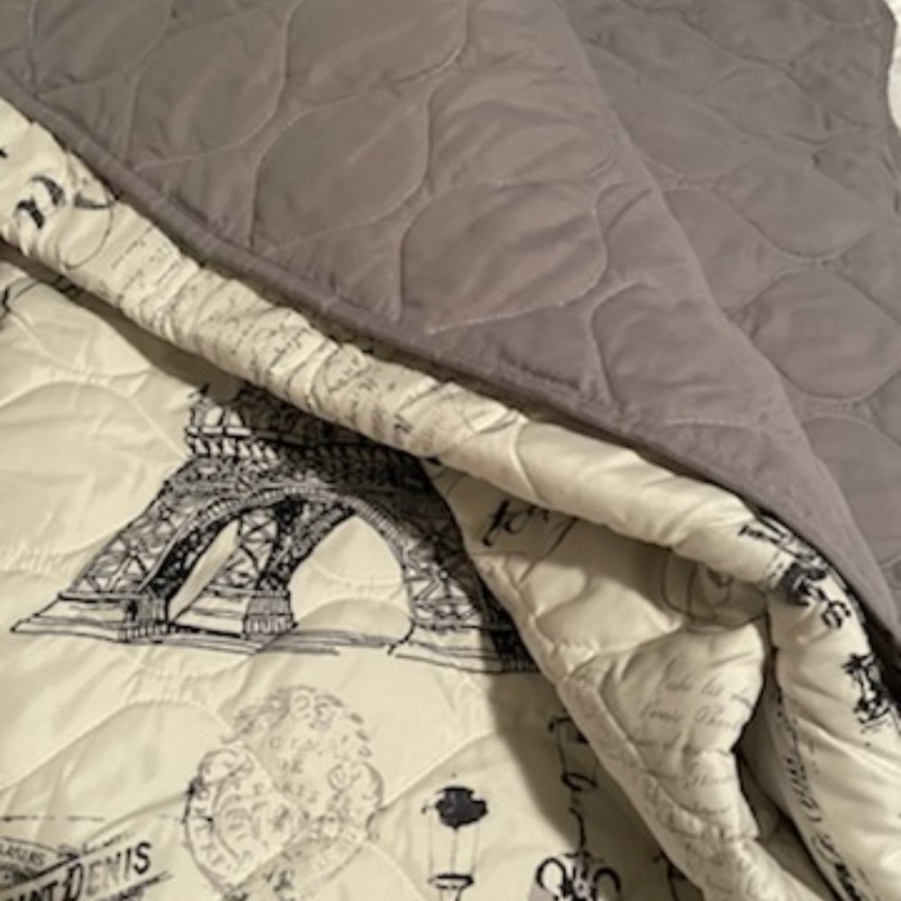 Paris Theme Quilt king or Queen - Picture 5 of 7
